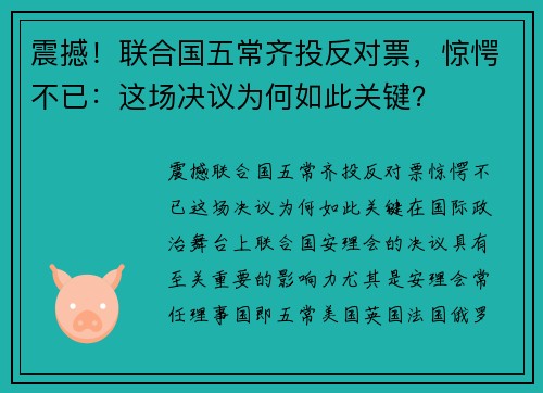 震撼！联合国五常齐投反对票，惊愕不已：这场决议为何如此关键？