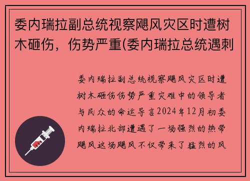 委内瑞拉副总统视察飓风灾区时遭树木砸伤，伤势严重(委内瑞拉总统遇刺)