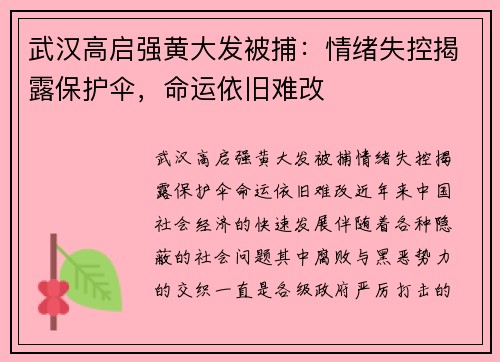 武汉高启强黄大发被捕：情绪失控揭露保护伞，命运依旧难改